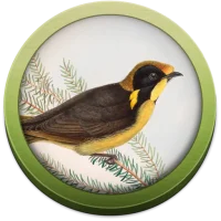 Field Guide to Victorian Fauna